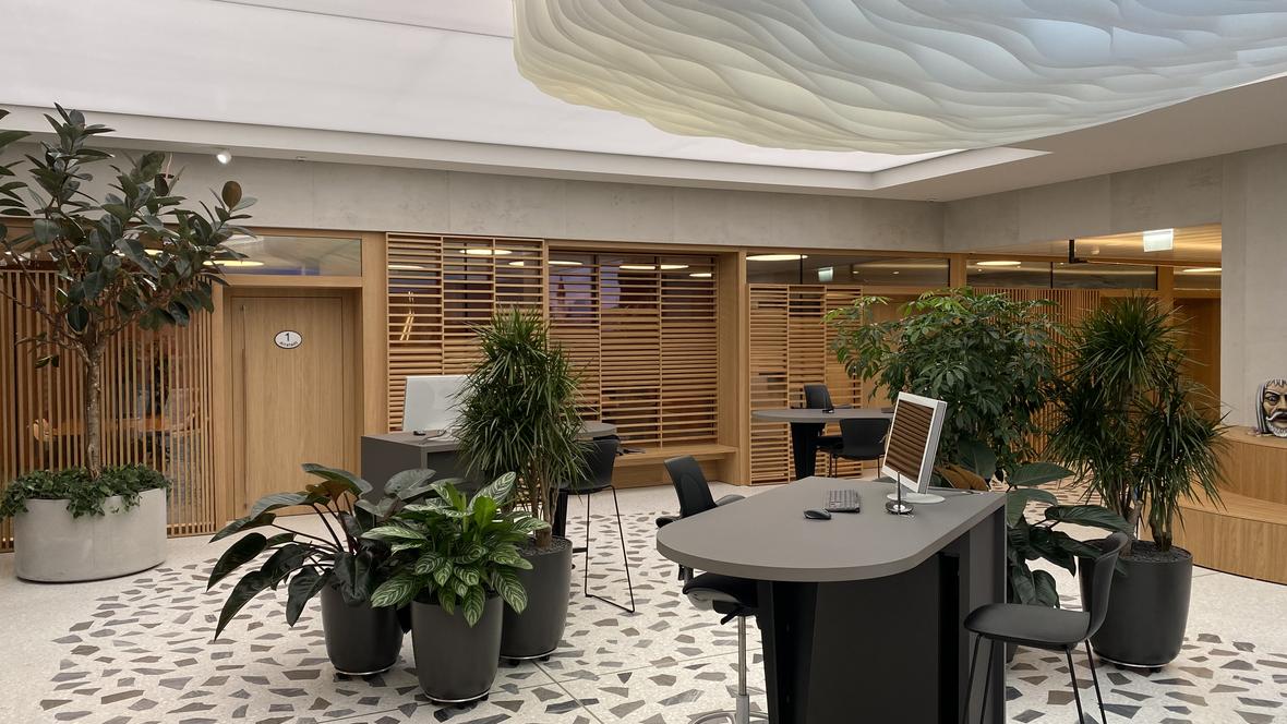 Pflanzen gestalten die Kundenhalle ansprechend